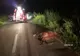 Accident grav la Sândominic. O șoferiță a intrat cu mașina într-un cal