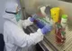 Primul caz confirmat de coronavirus din județul Harghita