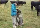 O harghiteancă are la doar 45 de ani un tărâm de vis - o fermă de Angus în Joseni