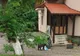 Apel al jandarmilor harghiteni după cele 9 intervenții pentru îndepărtarea urșilor din weekend. Un urs a intrat în curtea Spitalului Județean Miercurea Ciuc