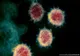 15 cazuri noi de infectare cu coronavirus, în județul Harghita