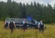 VIDEO 4 apeluri în 24 de ore, pentru îndepărtarea urșilor, în județul Harghita