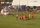 FOTBAL: Csikszereda Miercurea Ciuc - Petrolul Ploiești 1-2 (VIDEO)