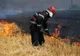 Incendiu de vegetaţie, în județul Harghita!