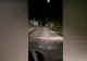 VIDEO Weekend cu 18 apeluri pentru îndepărtarea urșilor, în Harghita