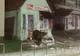 VIDEO Un urs a distrus un chioșc din Băile Tușnad