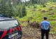 8 apeluri la 112 și tot atâtea intervenții la urs