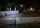 10 apeluri la 112 și tot atâtea intervenții la urs