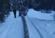 VIDEO Hoții de lemne, în vizorul jandarmilor
