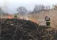 7 incendii de vegetație în ultimele 24 de ore