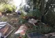Peste 150 de pagube provocate de animale sălbatice, raportate de la începutul anului la Agenţia pentru Protecţia Harghita