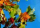 Weekend cu temperaturi de vară în toată țara. Care vor fi valorile maxime