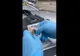 VIDEO 19 percheziții domiciliare la traficanții de droguri