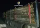 Bărbat din Harghita prins transportând peste 29 mc de lemn fără documente