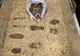 Muniţie provenită din cele două războaie mondiale, descoperită de un detectorist autorizat