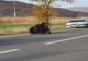 Încă un urs în Praid. Locuitorii, avertizați prin Ro-Alert