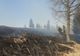 VIDEO 50 de hectare de vegetație uscată afectate de un incendiu!