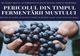 Atenție la vinul aflat în proces de fermentare!