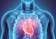 Alimentul surprinzător recomandat de un cardiolog: „Este prietenul inimii”